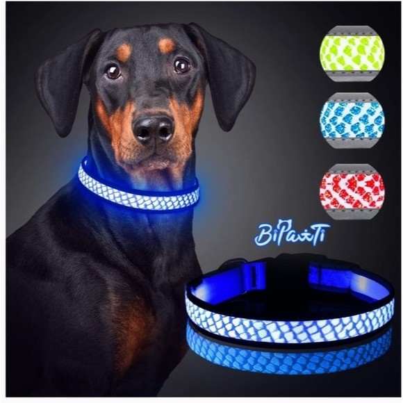 Other - Light Up Dog Collars,Safety Glow in The Dark Dog Collars,LED Dog Collar Blue Med